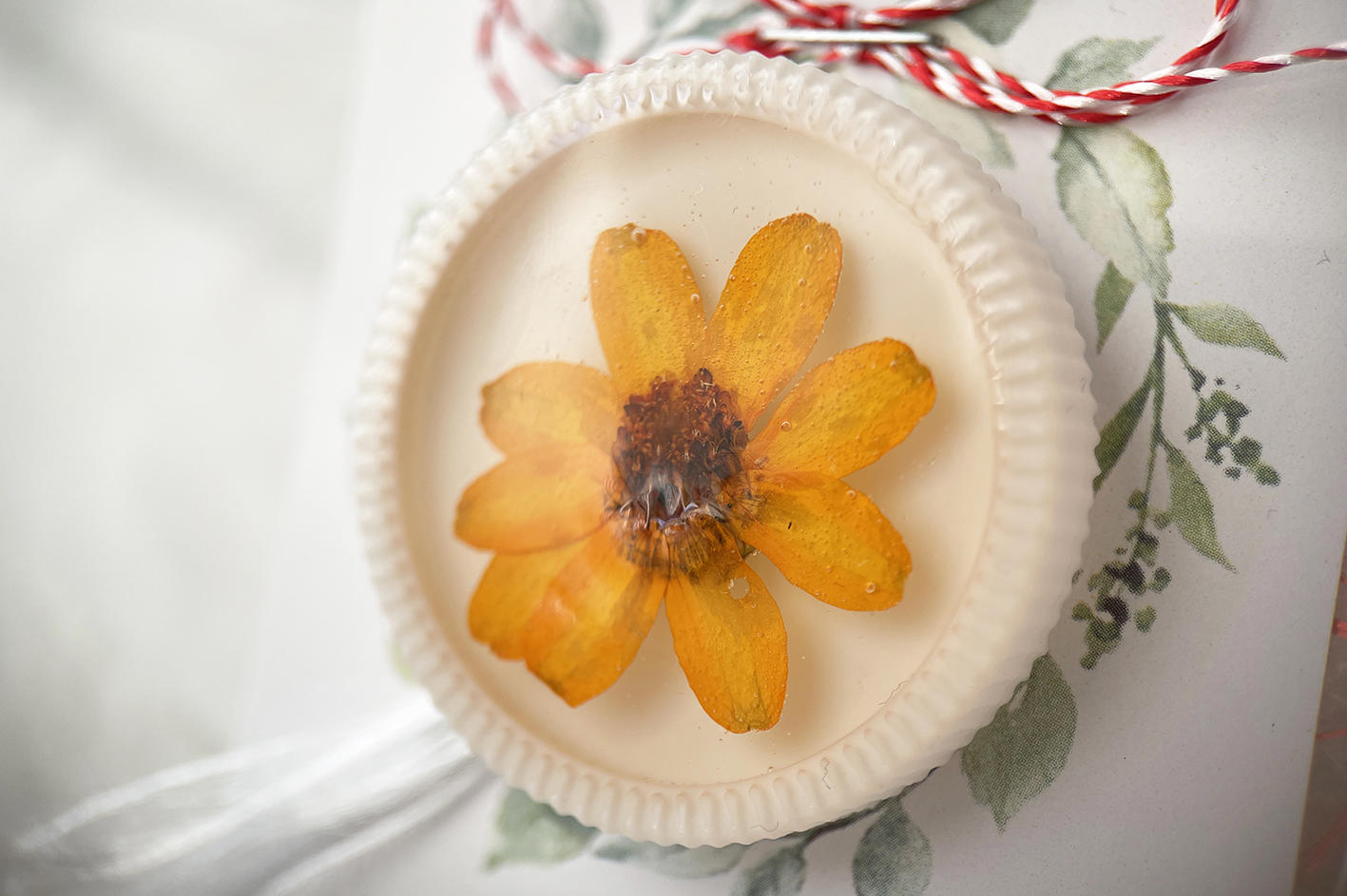 Martisor brosa Scanteia (floare naturala)