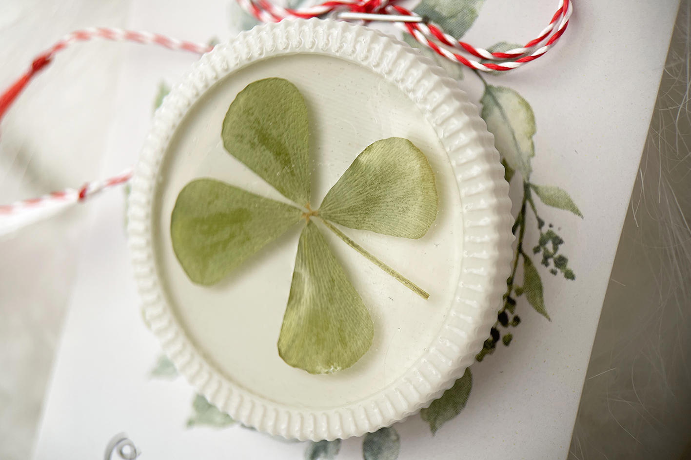 Martisor brosa Trifoi (floare naturala)